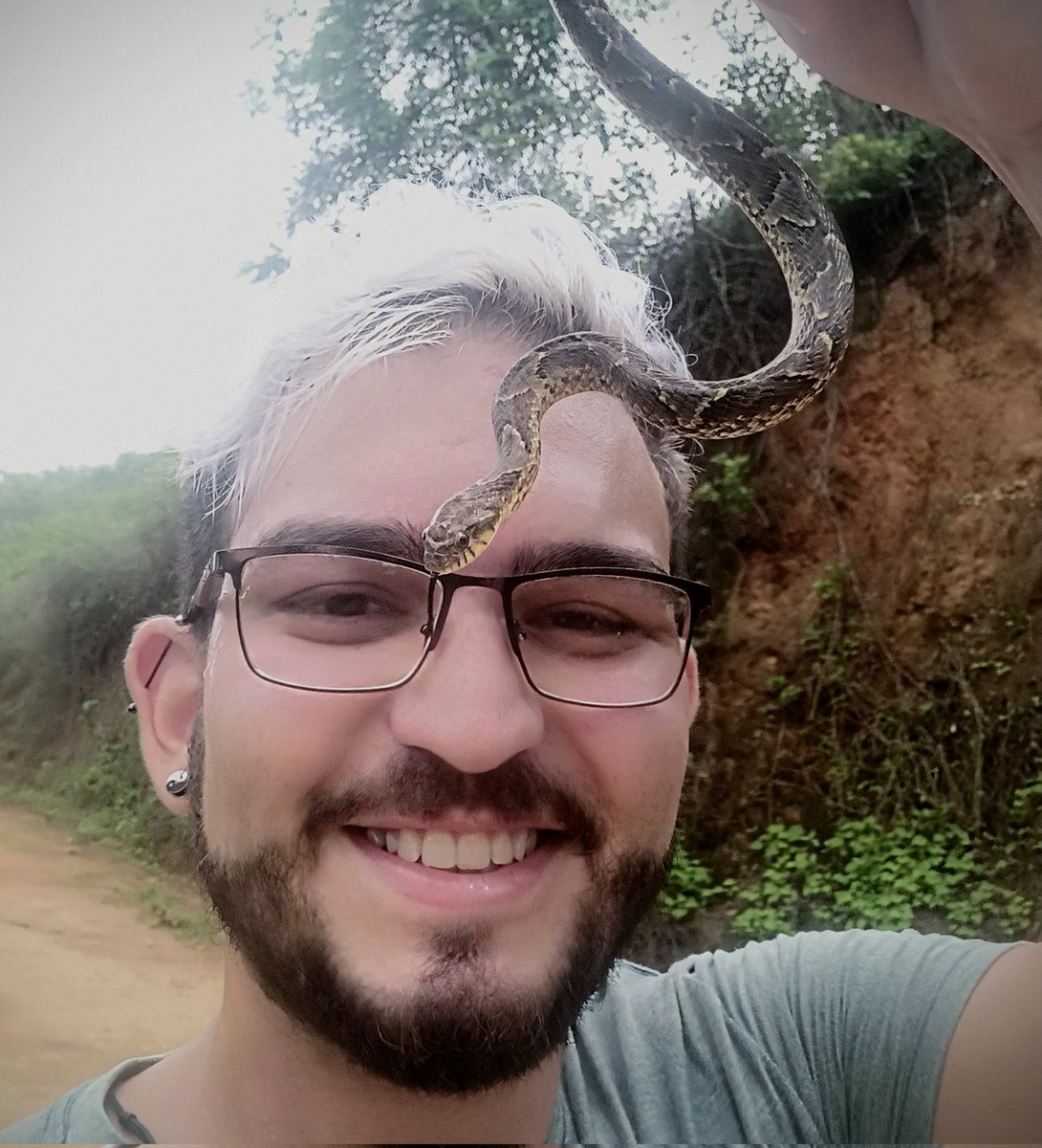 PewColares's tweet photo. Eu provavelmente vou morrer fazendo carinho/pegando em algum bicho que não devia...

Mas morro feliz! https://t.co/FRo86DEeop