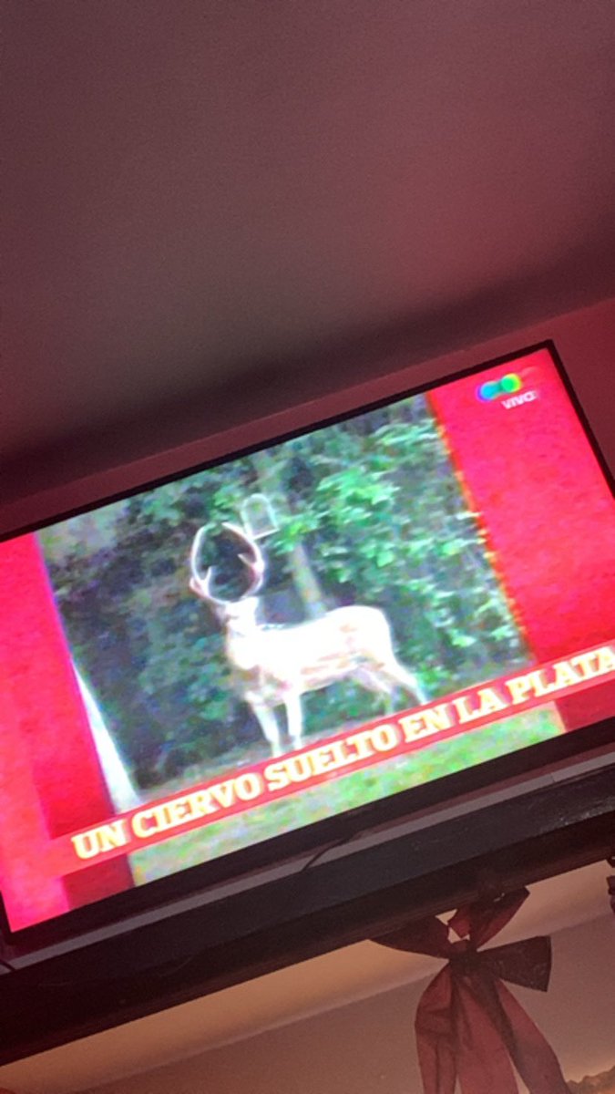 y de la nada, aparecí por la plata