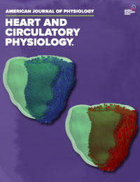 ajpheartcirc's tweet photo. #ArticlesInPress: Sex Still Matters in #Cardiovascular Research
(Lindsey, et al.)
https://t.co/68uCdlgFoL
@CarterPhysiol @jonathankirk @hoosierderby  @merrylindseyphd @ZamKassiri @prof_brunt @PKleinbongard @ajpheartcirc @RipplingerLab 
#rigorandreproducibility #editorial https://t.co/kTiENxjoVc