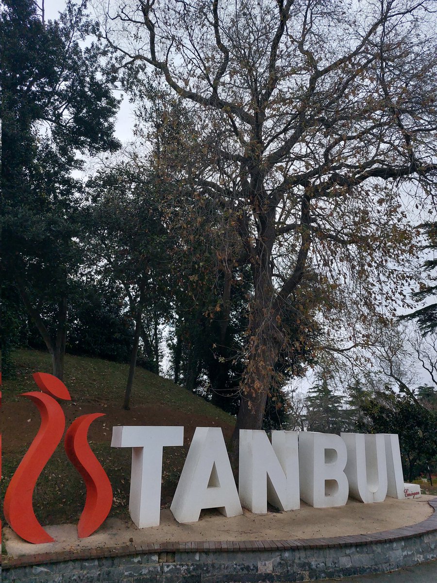 Yağmurda Emirgan Korusu bir başka güzel🙏🏻🍀 #herseycokguzelolacak