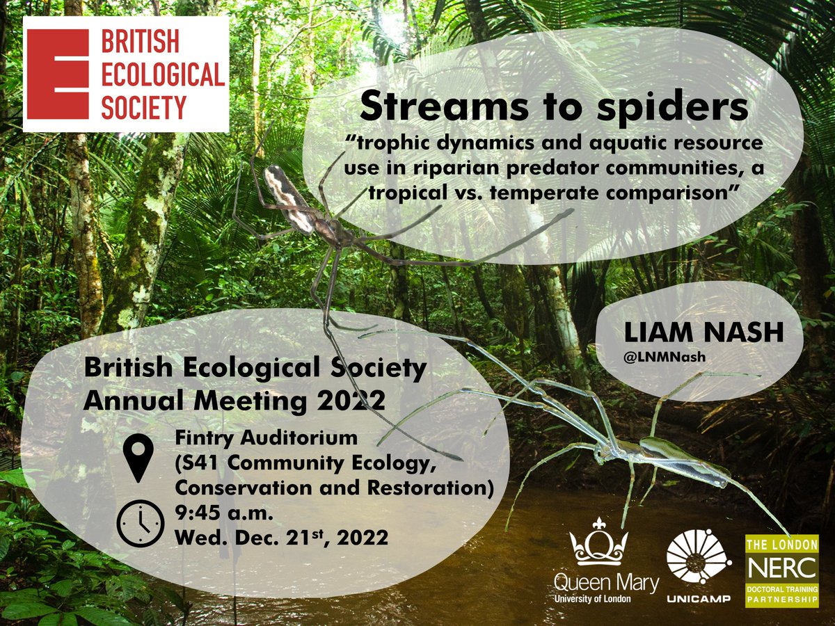 Liam N. Nash (@lnmnash) on Twitter photo If you're attending #BES2022 and riparian zones, cross-ecosystem links, or tropical/temperate comparisons are your thing come check out my talk at 9:45am on Weds!
If not, you can come anyway - there will be pictures of spiders
<a href="/KratinaLab/">KratinaLab</a> <a href="/QM_SBBS/">QM_SBBS</a> <a href="/gqromero/">Gustavo Q Romero</a> If you're attending #BES2022 and riparian zones, cross-ecosystem links, or tropical/temperate comparisons are your thing come check out my talk at 9:45am on Weds!
If not, you can come anyway - there will be pictures of spiders
<a href="/KratinaLab/">KratinaLab</a> <a href="/QM_SBBS/">QM_SBBS</a> <a href="/gqromero/">Gustavo Q Romero</a>