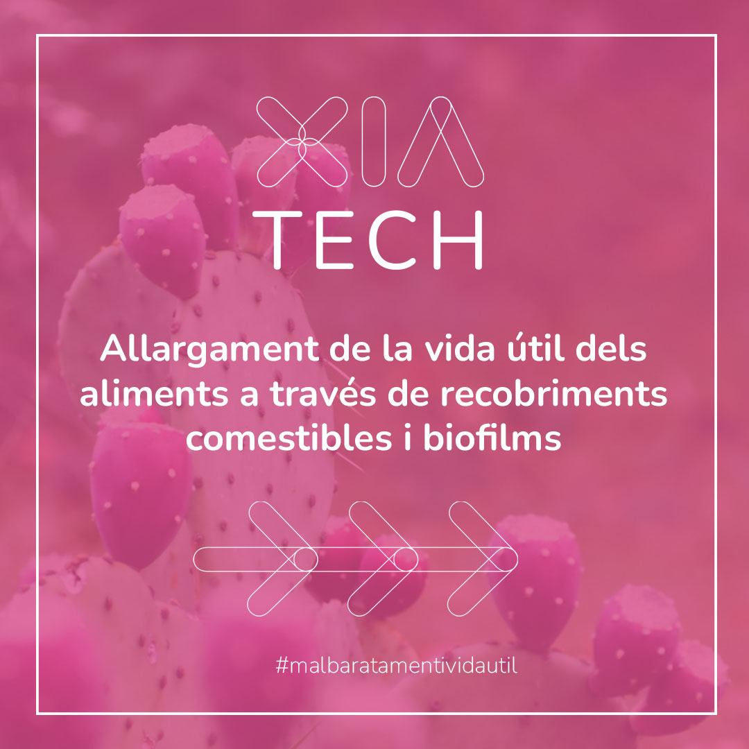 ➡️ Allargament de la vida útil dels aliments a través de recobriments comestibles i biofilms

👩‍🔬  <a href="/EEABB_UPC/">EEABB-UPC</a>  
<a href="/la_UPC/">Universitat Politècnica de Catalunya (UPC)</a> 

📌 xia.network/tecnologies/al…

#FEDERrecerca #XIATech #solucionstecnologiques #malbaratamentalimentari #allargamentvidautil