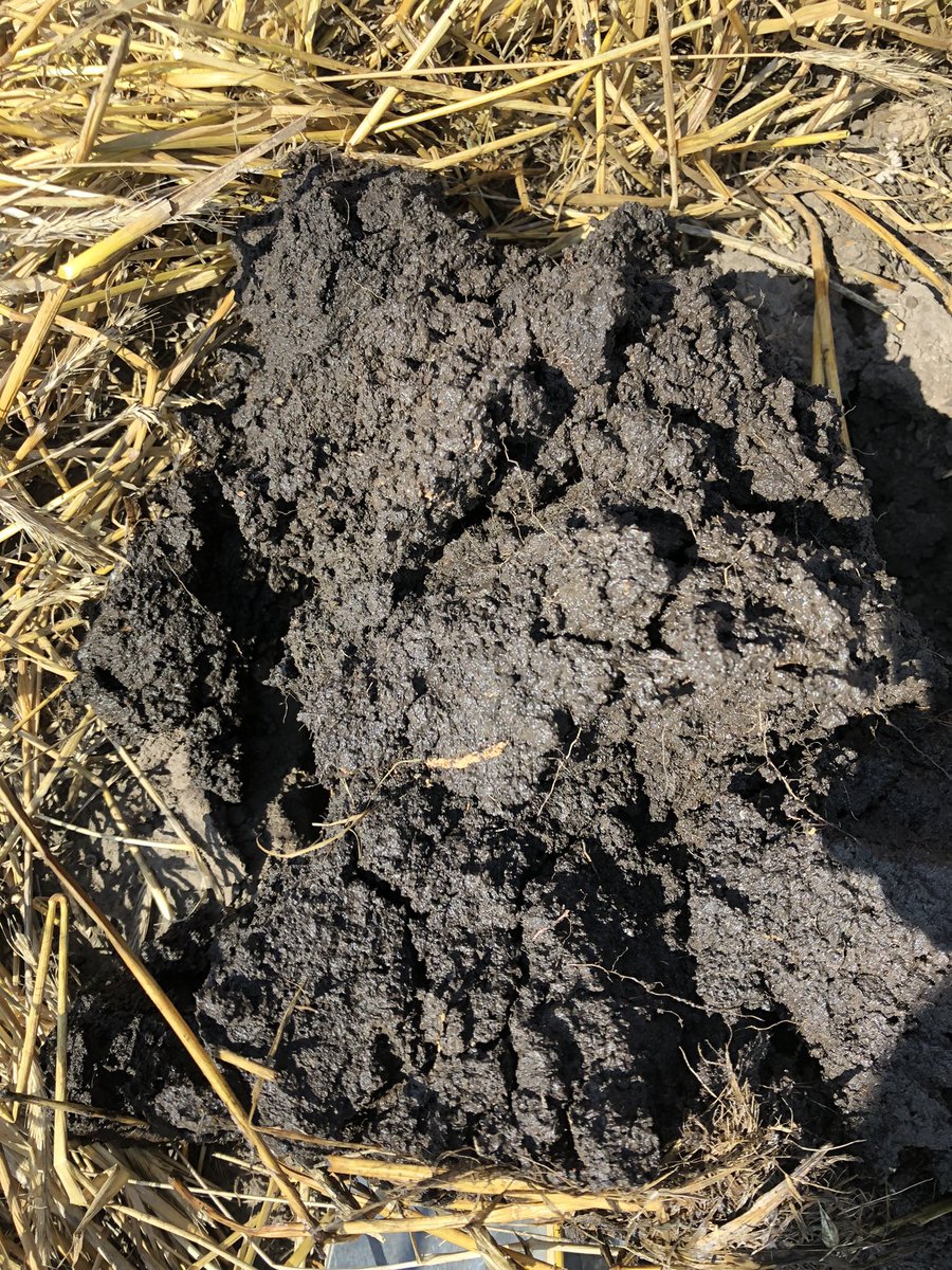 MnSoil's tweet image. Goal: champagne soils on a beer budget 🍺🍾 #SMS2022 Gil Gulickson’s keynote