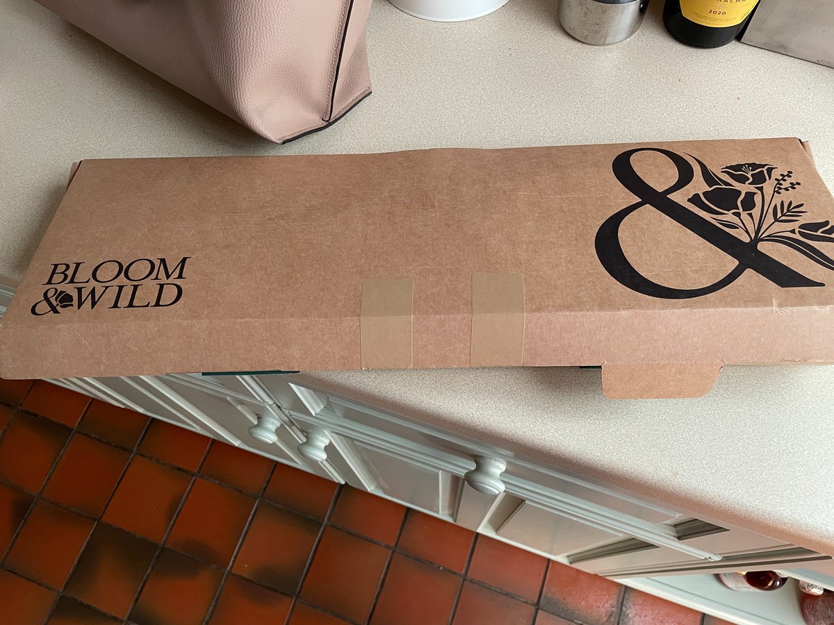 tinyboxcompany's tweet photo. ahem... @BloomandWild that's not a tiny box? 😉#ThatsNotATinyBox https://t.co/MAg4FLCq1P