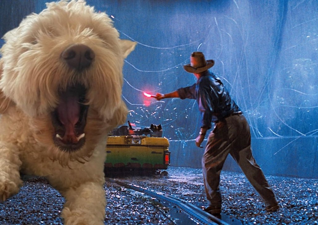 RUN!!! It's Marvin!!