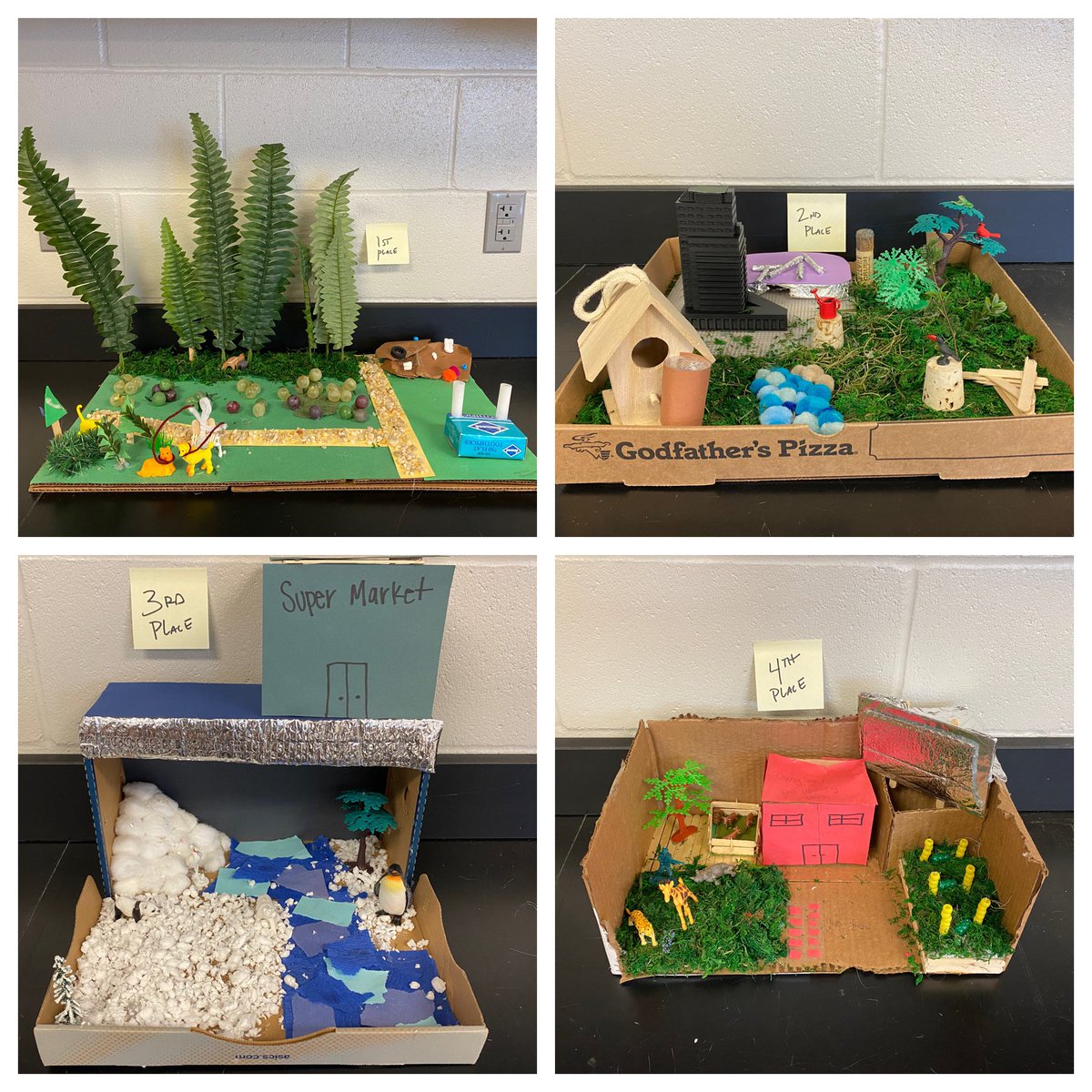 EVS ended the semester designing a Green City… here are the winners <a href="/PLSHSTitans/">Papillion La Vista South High School</a>