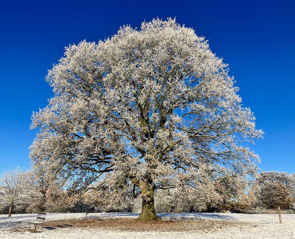 Just beautiful outside today. Difficult to get any work done, especially as I now have numb fingers from being out for so long!