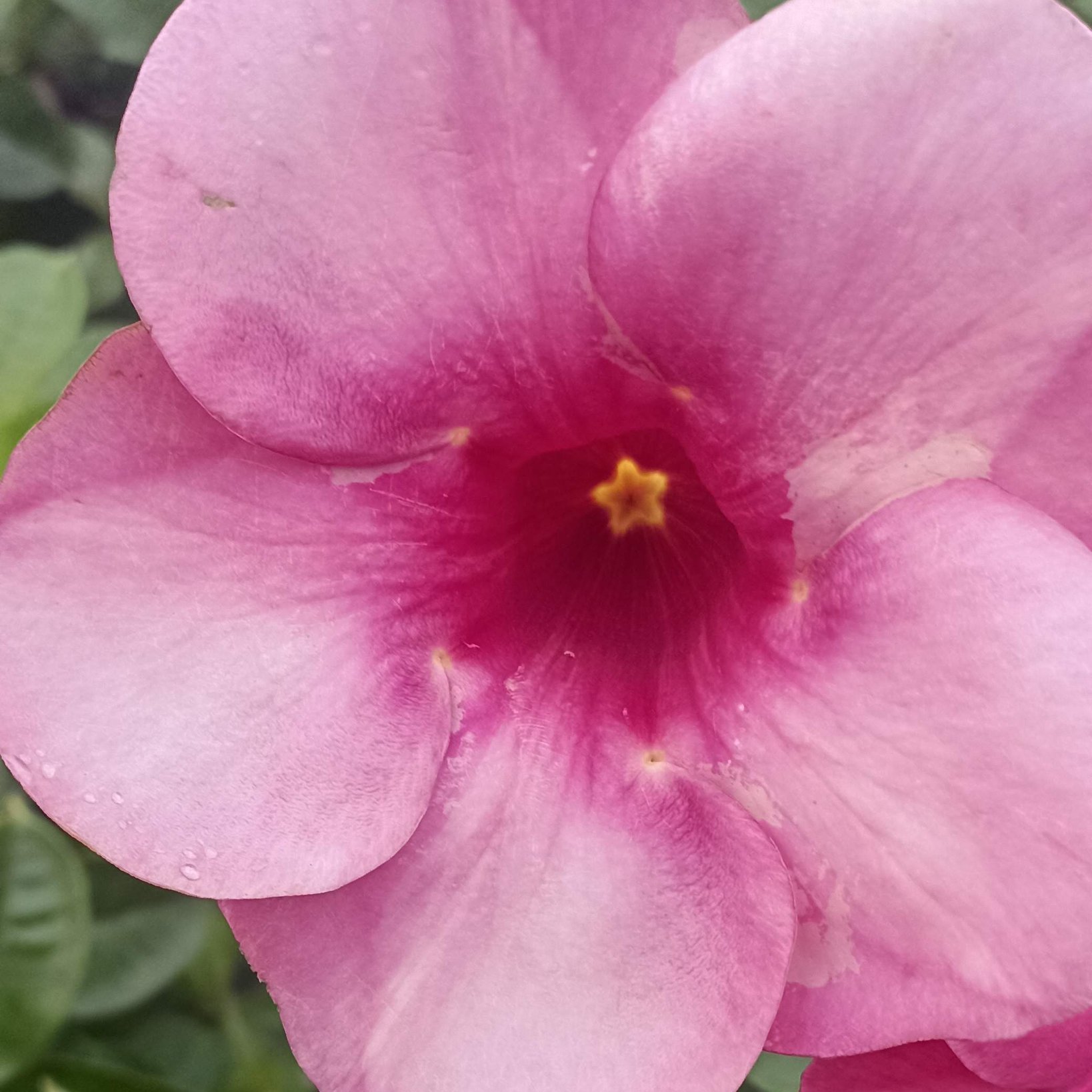 Kumaran Vijayakumar (KumaranVijayak2) / Twitter