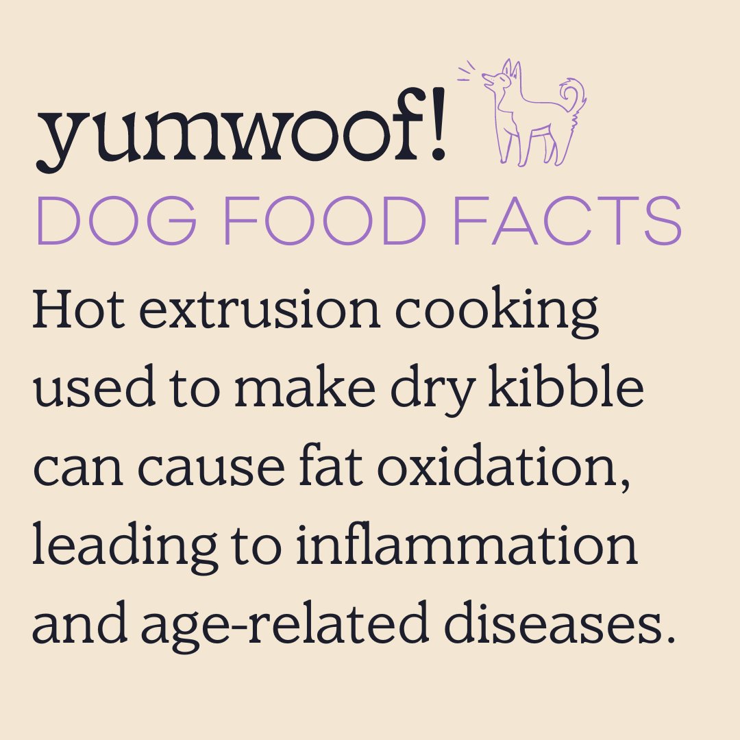 I always assumed the hot extrusion processed used to make dry kibble was inflammatory, but I wanted to understand from a biochemistry level if it's true. 
Long story short—the high heat and pressure used to cook dry kibble oxidizes the fatty acids, creating harmful free radicals.