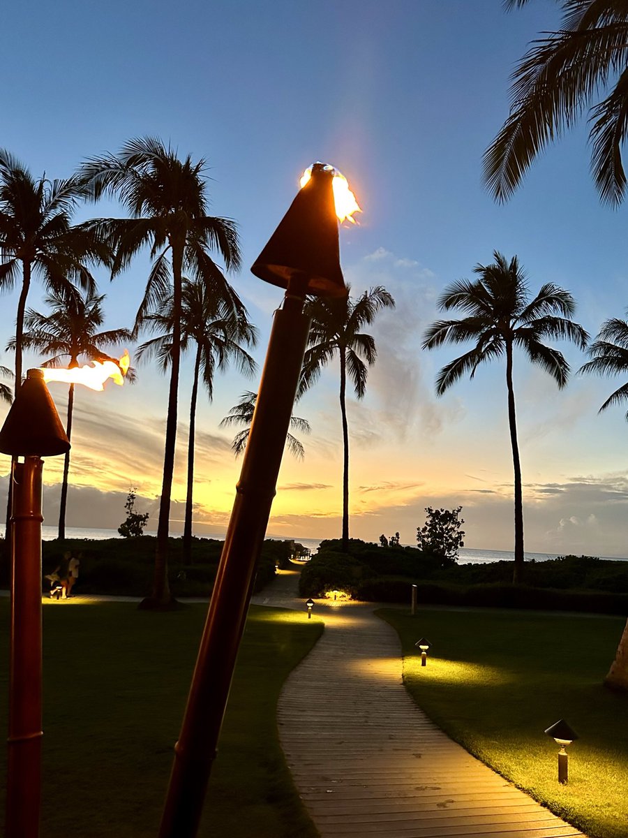 Ian_A_MacDonald's tweet photo. As we prepare for this next cold snap . . . #ThrowbackThursday to just 4 weeks ago. *sigh #TeamMacDonald #MissingMaui https://t.co/ip0pbevnVO