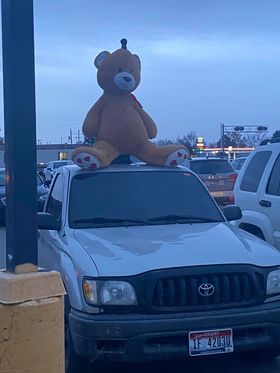 "Fuzzy wuzzy was a bear..." 🤔 It's too early for this.
(Credit: April Bingham)

#onlyinidaho #idaho #teddy