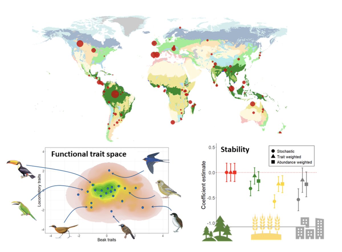 Interested in the resilience and stability of ecosystems? Get yourself up in time to see <a href="/tomlweeks/">Tom Weeks</a> present his broad-scale analysis of the impacts of land-use change on functional stability through the lens of bird functional traits: 09:00 in Menteith room on 21/12