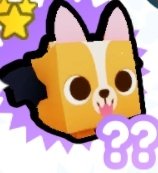 WobblyKid tweet media