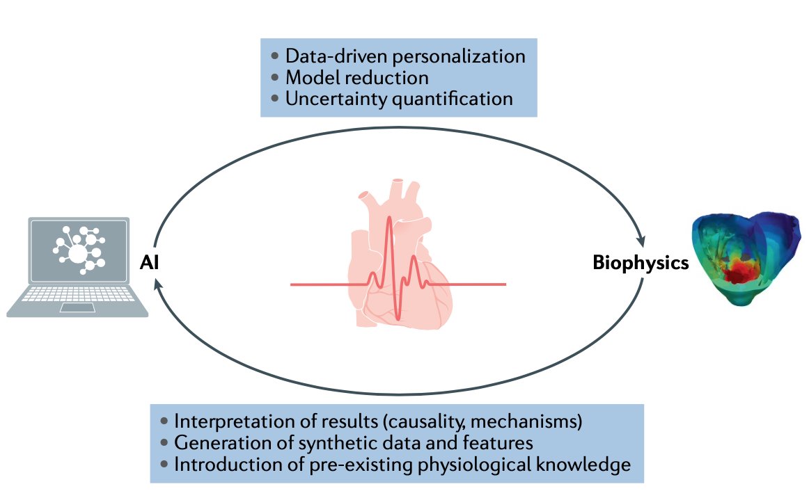 New MSc / PhD Positions: Deep Learning meets Numerical Modelling.
Great project at the interface of AI &amp; biophysics with Sorbonne Universités (MLIA) and Inria Ange team (environment).
www-sop.inria.fr/asclepios/recr…