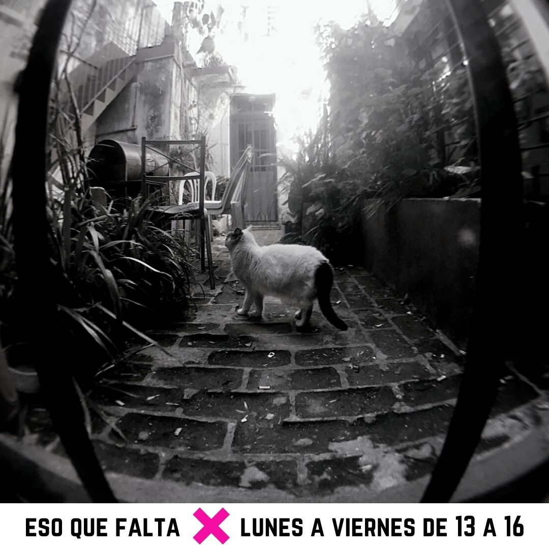 EsoFalta's tweet photo. #JUEVES | #EsoQueFalta es que prendas @fmlatribu que en breve estamos airee mi ciela 💅

#EnVivo por la 88.7 y https://t.co/uXUZDHKwVt 📻 https://t.co/doq0RvxXEt