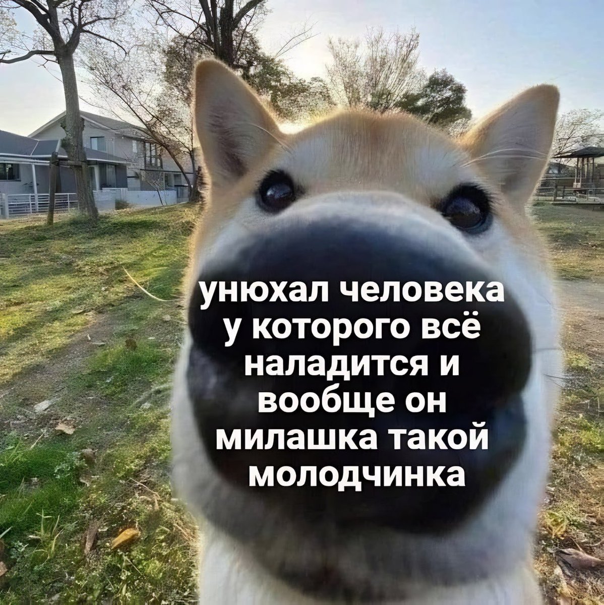 treschenko24's tweet photo. Твит для поддержки вас https://t.co/1FP67drVRv