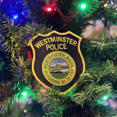 WestminsterPDMA's tweet photo. #NewProfilePic https://t.co/XOkp4CX6eN