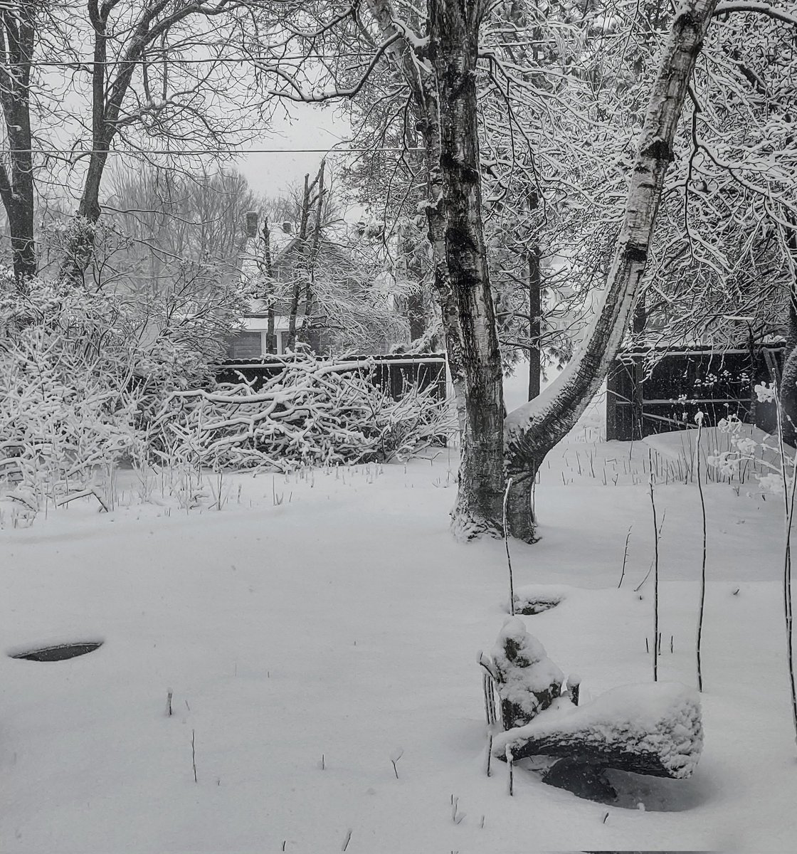JosephBeaver's tweet photo. I suppose it's pretty and all that, but I could do without it today. https://t.co/2uThbP1U7R