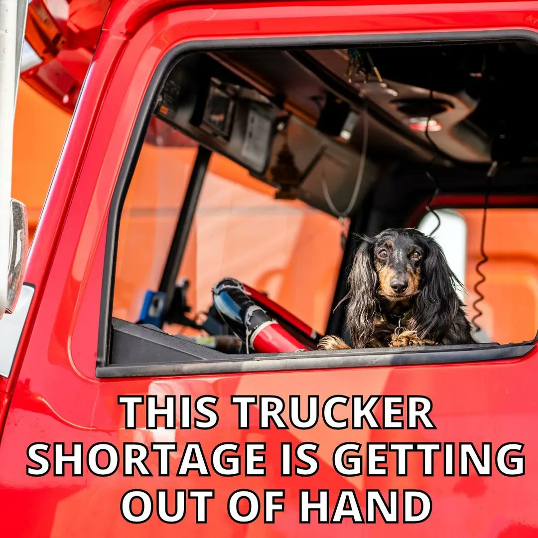 evotransinc's tweet photo. We are a driver-first company that is looking to bring on more members to our team. We offer great pay, a driver-first culture, flexibility and safety. So call 1-844-866-3386 to apply today! 

Credit - @truckdriversusa 

#Trucker #TruckerLife #CDL #CDS #CDLLife #Transportation https://t.co/tE1A0rXoRs