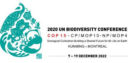 bafuCH's tweet photo. Die Umweltminister aus mehr als 100 Ländern treffen sich in Montréal 🇨🇦, um den neuen globalen Rahmen für die #Biodiversität auszuhandeln. BAFU-Direktorin Katrin Schneeberger vertritt die 🇨🇭 an der #CBD_COP15.
#highlevelsegments Global Biodiversity Framework #GBF https://t.co/wLWV7eeafY
