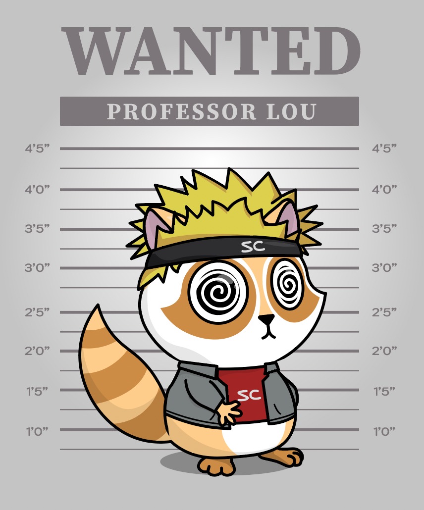 Shadys 🦝 tweet media