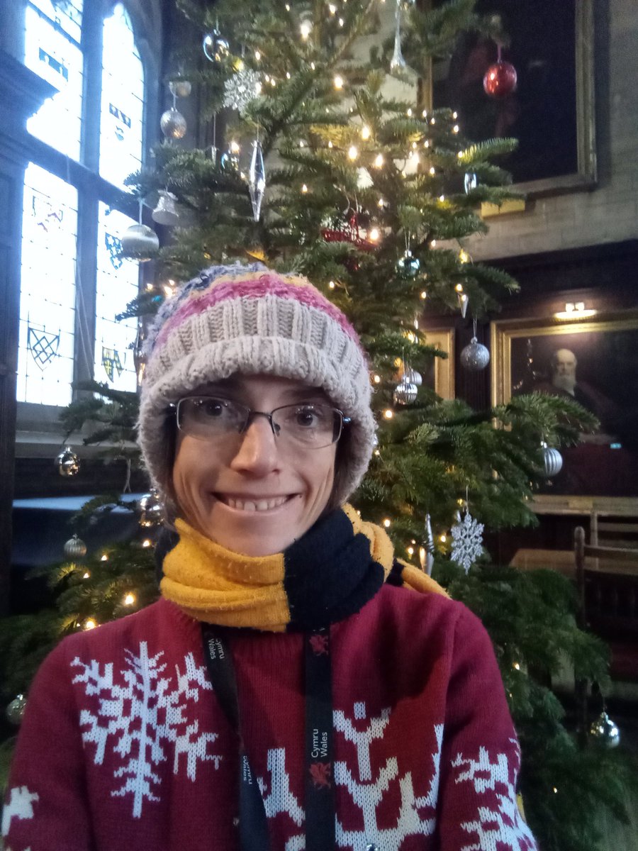 Wearing my Christmas Jumper in the hall at Balliol College and admiring the Christmas tree. #LayerUpOxford