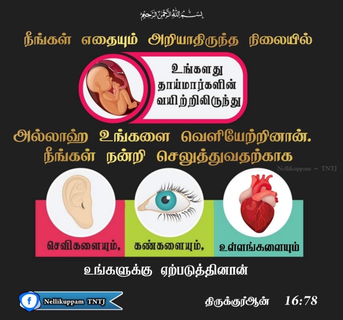 Thangalsyed1404's tweet photo. #Islam_Peace #Allah #Quran #Love #Prophetmuhammad #MuhammadMercyForMankind
#LearnIslam_PracticeIslam #SpreadTeachingsOfProphet
#TNTJ_Nellikuppam #TNTJ #tntj_socialactivities #tntj_blood_donation #tntj_dhawa https://t.co/K0ogydnIY2