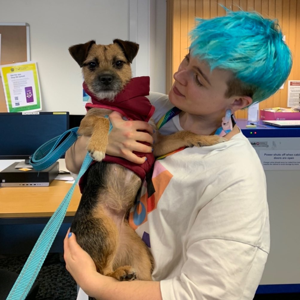 EdUniMainLib's tweet photo. The staff at Main Library Edhelp desk were delighted to get a visit from Library Pup yesterday.
If you are still studying for exams, Library Pup recommends taking a study break. Two woofs for study breaks! #study #studybreaks #librarypup https://t.co/WWLeW8kNGy