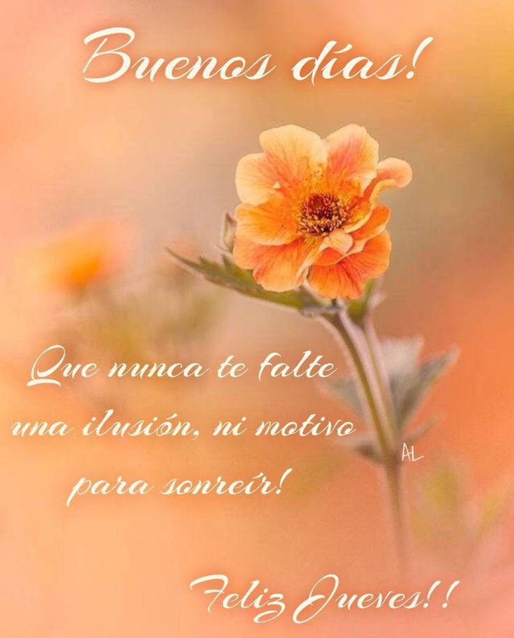 BEA #TeamSilFriends (@beaguar) on Twitter photo 