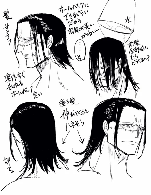 鰐のオールバックには夢がある 