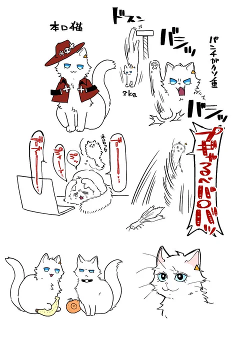とりあえず足太そうですね=^・ω・^= 