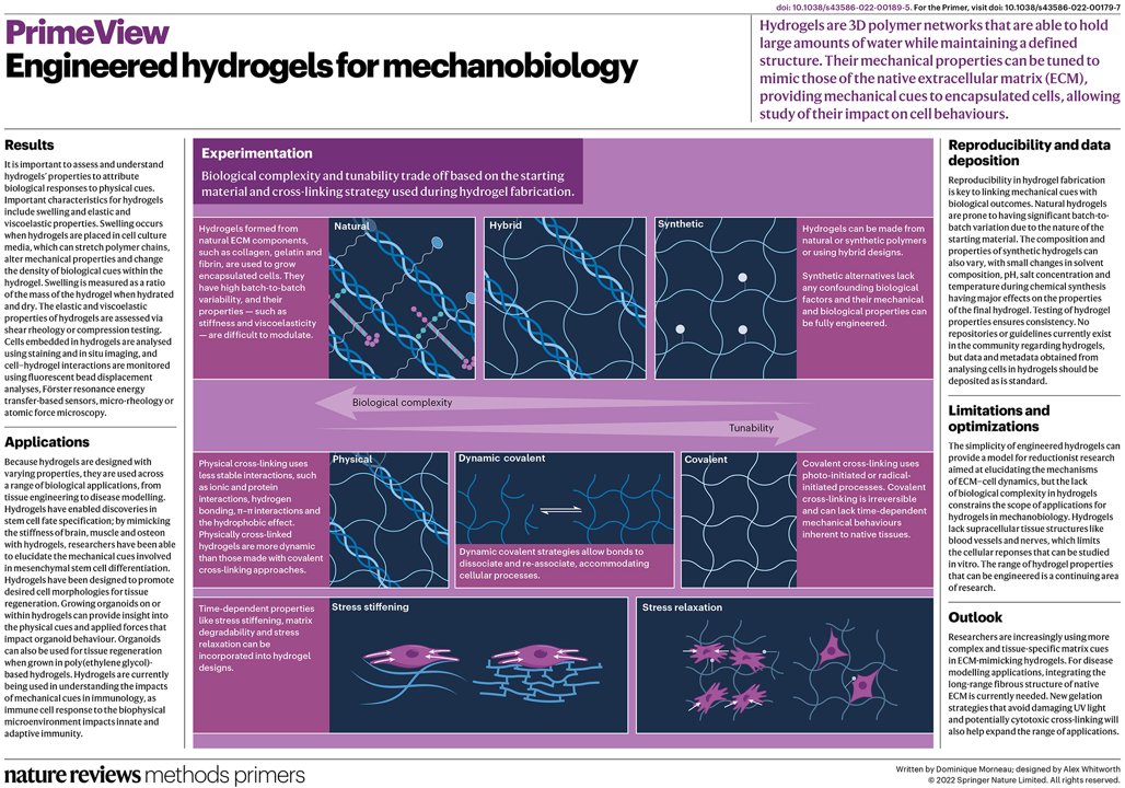 Eileen Gentleman Lab (@gentlemanlab) on Twitter photo Thrilled to share our new manuscript out in <a href="/MethodsPrimers/">Nature Reviews Methods Primers</a> πwhere we discuss how hydrogels can provide mechanical cues to encapsulated cells for studies in cell biology π©βπ¬ & applications in regenerative medicine, disease modelling & immunotherapies π§ͺ
rdcu.be/c1Fmt Thrilled to share our new manuscript out in <a href="/MethodsPrimers/">Nature Reviews Methods Primers</a> πwhere we discuss how hydrogels can provide mechanical cues to encapsulated cells for studies in cell biology π©βπ¬ & applications in regenerative medicine, disease modelling & immunotherapies π§ͺ
rdcu.be/c1Fmt