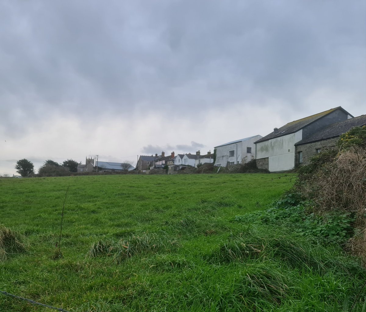 gnome_alice's tweet photo. From #NoGoBy Lane looking over #Tregeseal to #StJust Churchtown,
Trees on R, the closed churchyard #CarnBosavern visible to L of church tower
View from top of #NancherrowHill along North Row towards closed churchyard, church and churchyard
@JelbertOriginal
#Lannust 
#Kernow https://t.co/nIVrRBUfyP