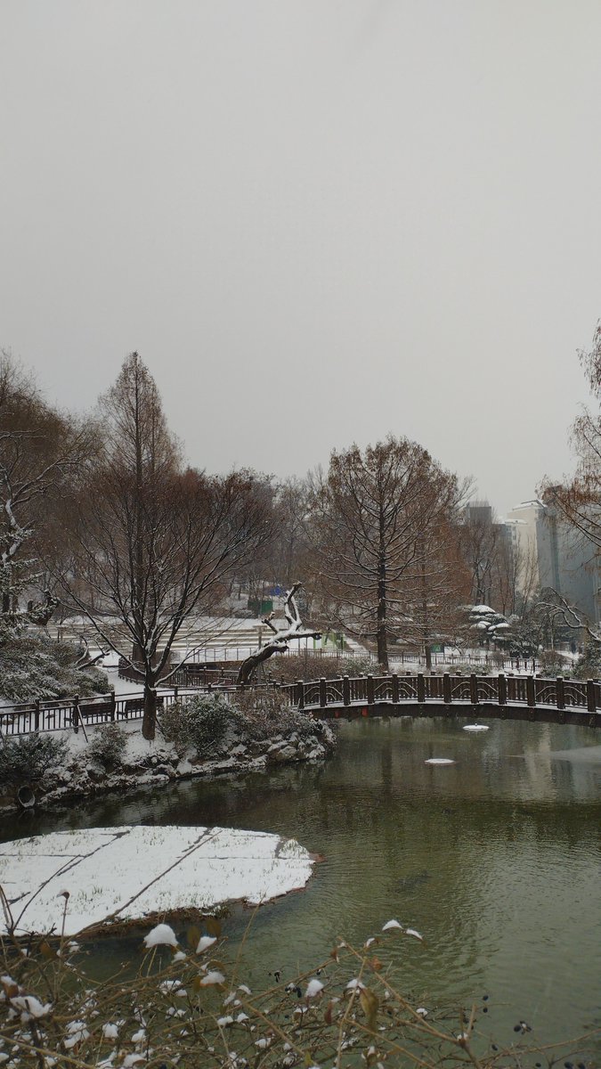 haikluu's tweet photo. university of seoul vibes https://t.co/LKmGCQTrFT