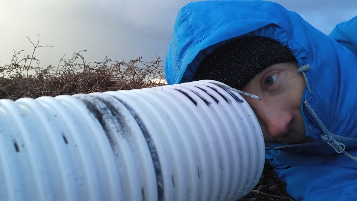 WTSWW's tweet image. Skomer Island update

Lisa Morgan, Head of Islands and Marine, said "There was no doubt that a full incursion response was required, and we had 48 hours to make it happen"

Thankfully, no rats were found. Read Lisa's blog welshwildlife.org/blog/skomer-is…

@biosecurityLIFE @PCNPAEducation