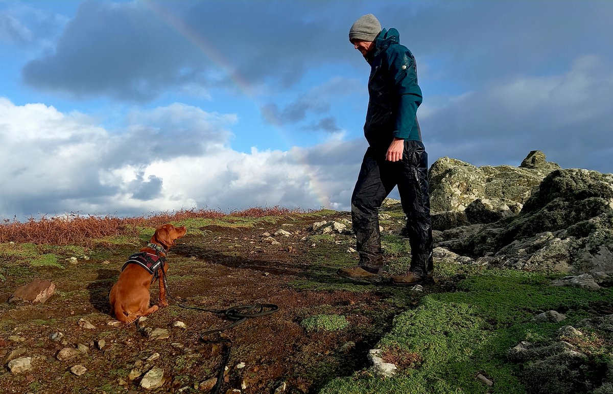 WTSWW's tweet image. Skomer Island update

Lisa Morgan, Head of Islands and Marine, said "There was no doubt that a full incursion response was required, and we had 48 hours to make it happen"

Thankfully, no rats were found. Read Lisa's blog welshwildlife.org/blog/skomer-is…

@biosecurityLIFE @PCNPAEducation