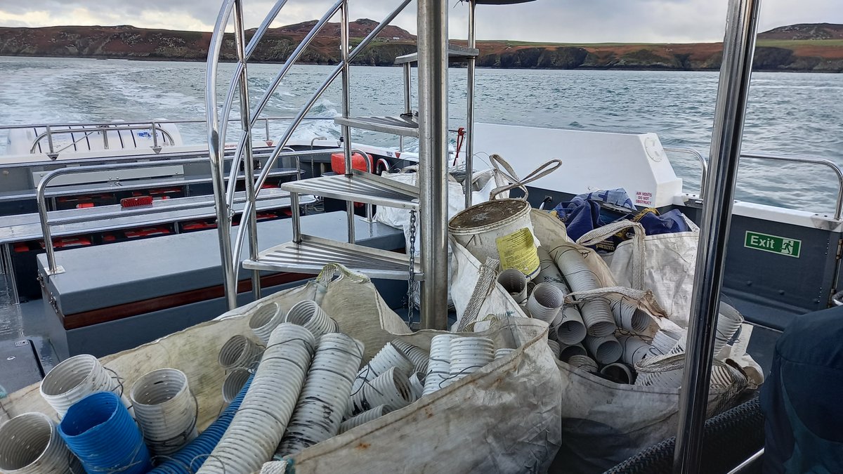 WTSWW's tweet image. Skomer Island update

Lisa Morgan, Head of Islands and Marine, said "There was no doubt that a full incursion response was required, and we had 48 hours to make it happen"

Thankfully, no rats were found. Read Lisa's blog welshwildlife.org/blog/skomer-is…

@biosecurityLIFE @PCNPAEducation