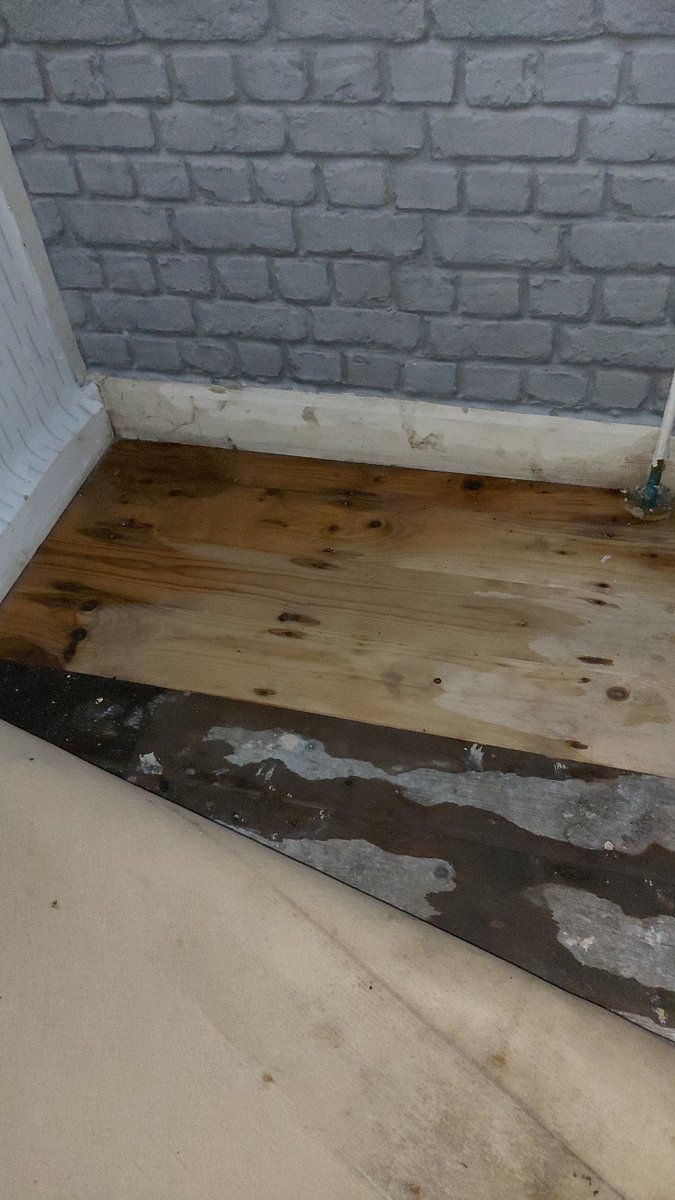 xxsarahxxa85's tweet image. @SouthwayHousing let my 81 year old mum sadly pass away after living in these conditions for years. The deterioration in her health worsened whilst living in this property, with constant chest infections, asthma attacks, allergies and respiratory issues! @MCCWithington