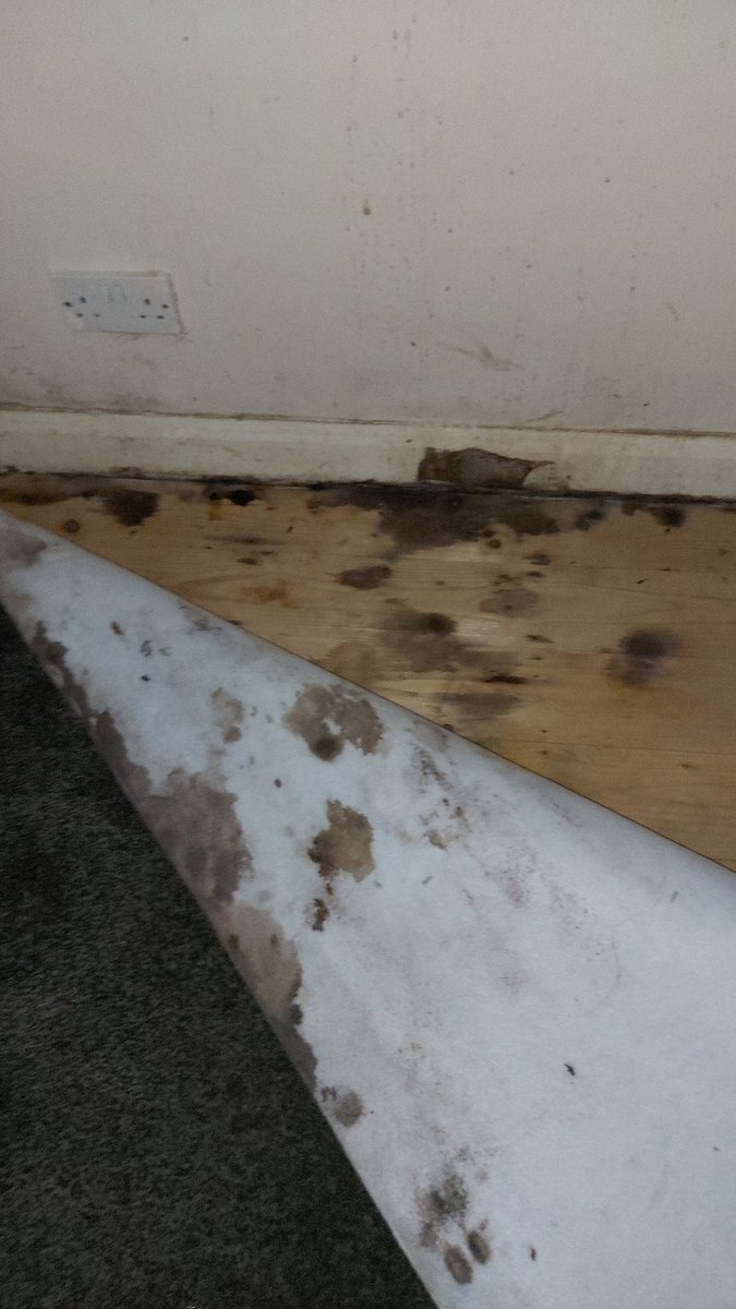 xxsarahxxa85's tweet image. @SouthwayHousing let my 81 year old mum sadly pass away after living in these conditions for years. The deterioration in her health worsened whilst living in this property, with constant chest infections, asthma attacks, allergies and respiratory issues! @MCCWithington