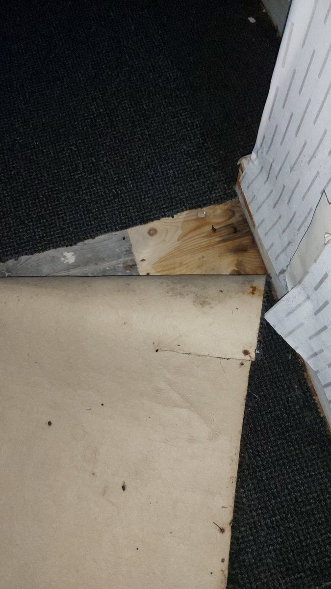 xxsarahxxa85's tweet image. @SouthwayHousing let my 81 year old mum sadly pass away after living in these conditions for years. The deterioration in her health worsened whilst living in this property, with constant chest infections, asthma attacks, allergies and respiratory issues! @MCCWithington