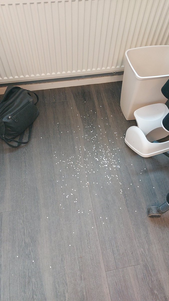 mops13's tweet image. Altijd feest als ik er ben. 🥳