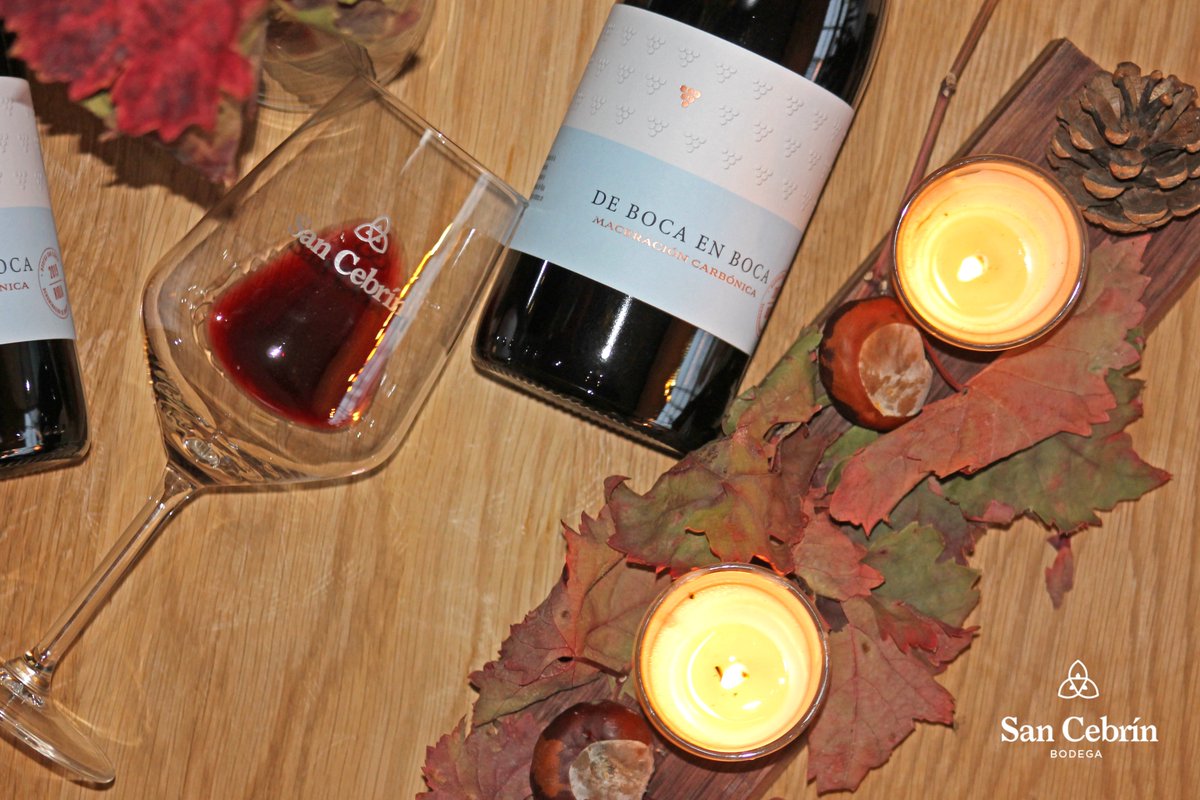 𝑰𝒏𝒗𝒊𝒆𝒓𝒏𝒐❄️
Frío, olor a castañas asadas, turrones, sentir el vaho al exhalar, acurrucarte junto a la chimenea...🔥

Disfruta los momentos con nuestro Maceración Carbónica🍷Lo importante es compartirlos con quienes más queremos💛

sancebrin.com/comprar-vino-o…🛒