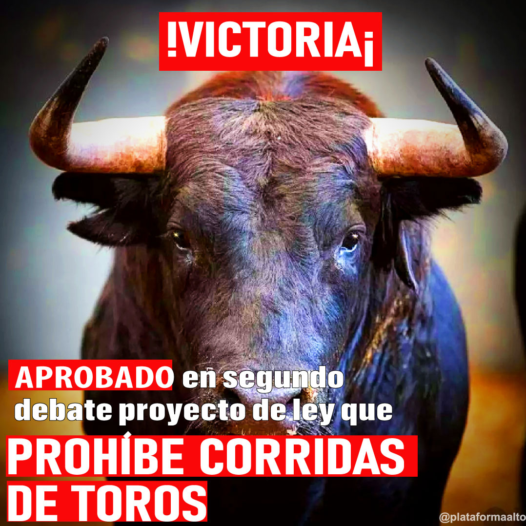 PlataformaALTO's tweet image. ¡VICTORIA EN EL SENADO!🚨
Esta madrugada fue APROBADO en segundo debate,  con una votación de 50-4, el proyecto de ley que PROHÍBE las CORRIDAS DE TOROS en toda Colombia.
¡Un millón de gracias a los senadores y senadoras que alzaron su voz por los animales!❤️🐂🎉🎉🎉