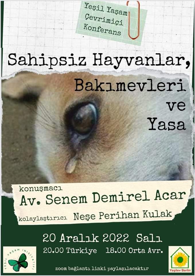 Katılımınızı bekleriz...
DünyaSadeceBizimDeğil