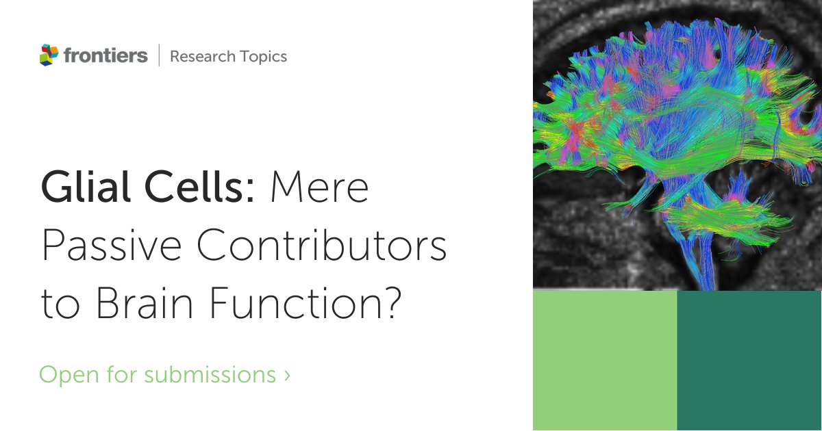 FrontNeurosci's tweet image. Open for submissions: &quot;Glial Cells: Mere Passive Contributors to Brain Function?&quot;. Interested in contributing your research? Submit here: fro.ntiers.in/ibYK #cellularneuroscience