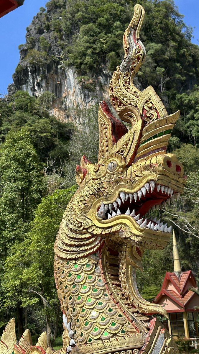 GetLostTravelin's tweet photo. It’s been about a week and since I’ve made a peep.  So been busy.  Made my way to Khao Sok National Park; saw temples and waterfalls &amp; climbed them; went on so many hikes and treks; was always wet my waking hours there…I would go back in a heartbeat
1/6 https://t.co/UHvqn9xnn0
