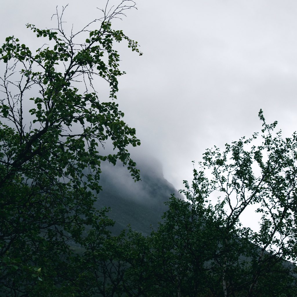 New song by Secret North Ox, titled ”Boreal Forest”, will be out in the remaining days of 2022. Check back on all Secret North Media &amp; Secret North Ox channels.🔉 

#SecretNorthOx #SecretNorthMedia #dronemusic #drone #ambient #darkambient #experimentalmusic #instrumentalmusic