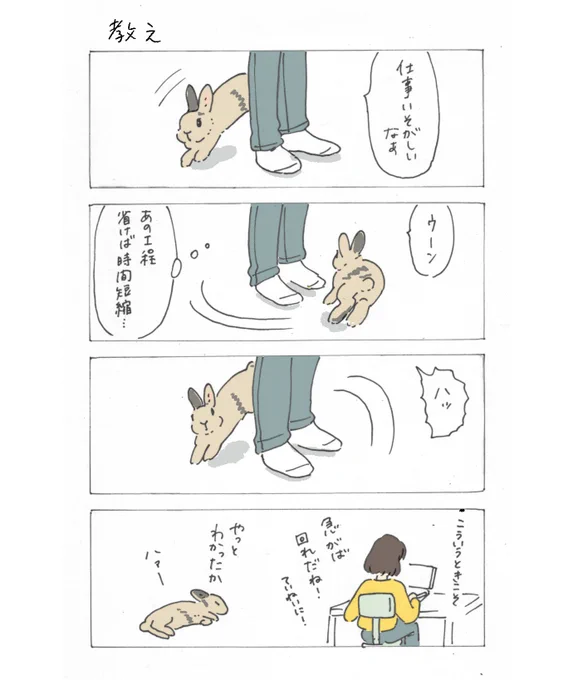 らくがきマンガ「教え」🐇 