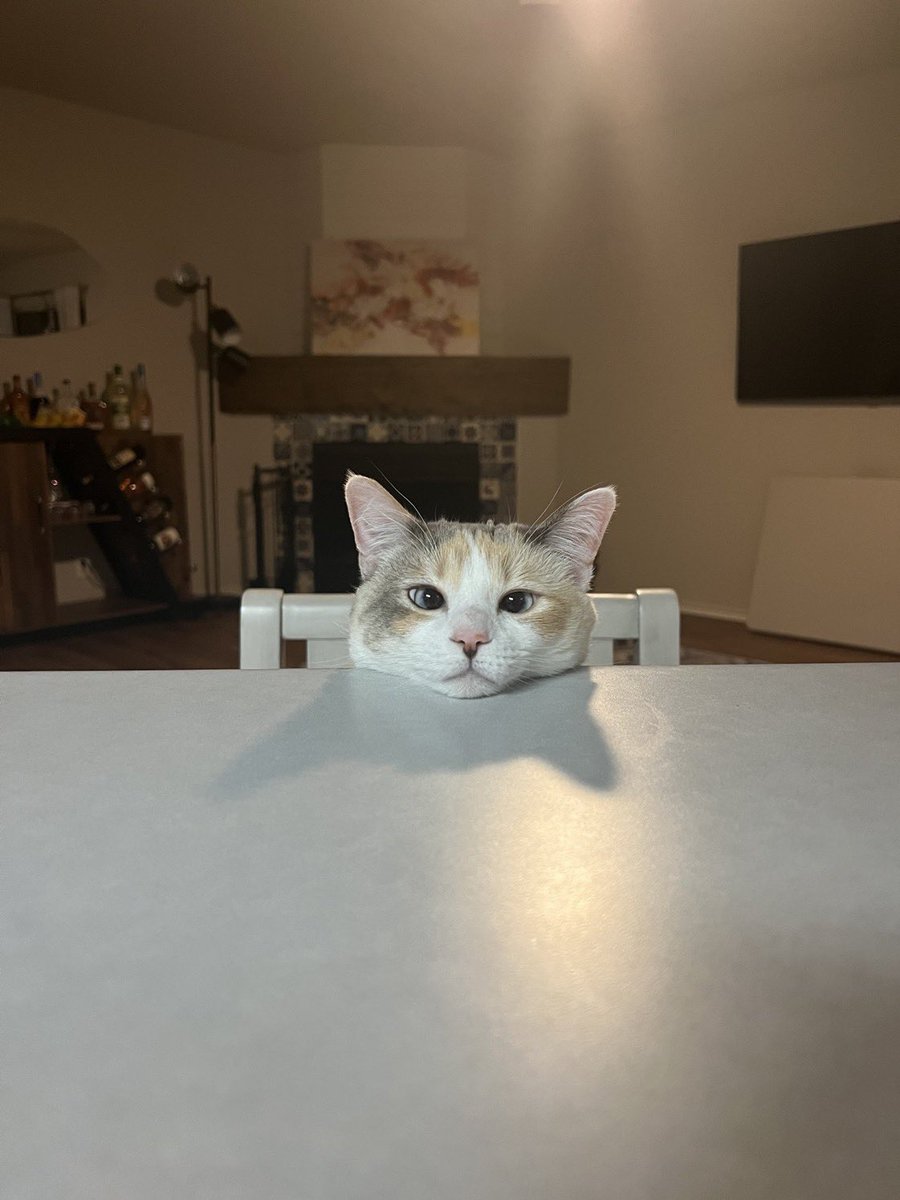 PowerfulAuraX's tweet photo. Her head is very heavy because of all of her thoughts https://t.co/WBvPjS7pPM
