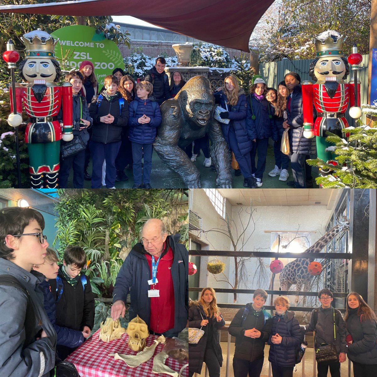 Canada_Blanch's tweet photo. El grupo de voluntariado de @OneWelfare disfruta hoy de una visita al zoo para conocer cómo trabajan con las especies en peligro de extinción 🦁🐻🐍@OneWelfare @AccEducativaExt @consejeriauk https://t.co/OekCrJ0iC2